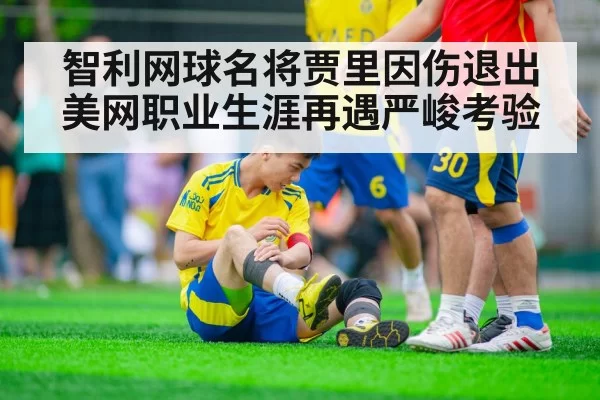 智利网球名将贾里因伤退出美网职业生涯再遇严峻考验