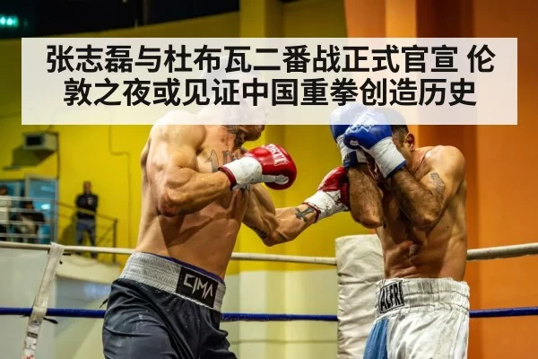 Chinese heavyweight boxer
